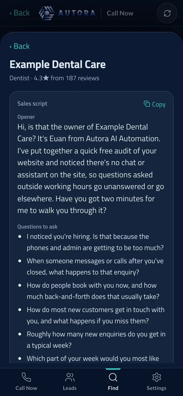The ready-made sales script for that business: a call opener built on what was found, and questions to ask.